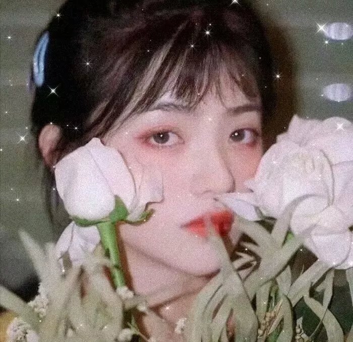 最后的冒险